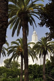 Maroc, Casablanca, église du Sacré-Coeur, architecte Paul Tournon (réalisée entre 1930 et 1953)