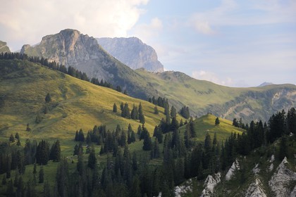 Switzerland, canton of Vaud, Les Diablerets at Col de la Croix