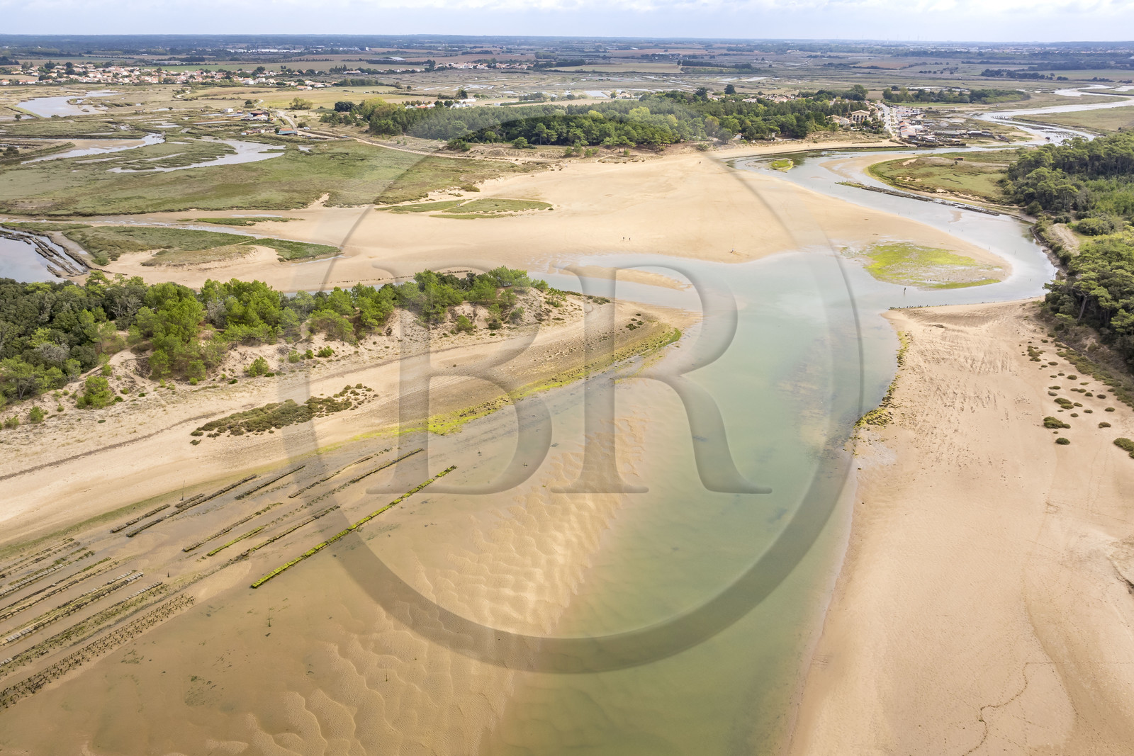 France, Vendée (85), Talmont-Saint-Hilaire, la Pointe du Payré, estuaire du Payré et le port du village d'ostréiculteurs de la Guittière en arrière plan