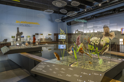 France, Loire Atlantique, Cordemais, the Terre d’Estuaire discovery center