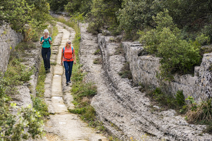 France, Gard, Vers Pont du Gard, stone quarries on the route of the Roman aqueduct of Nimes, deep ruts left in the rock of the path by the wheels of the carts that have traveled there since Roman times
