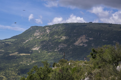 France, Drome, regional natural park of Baronnies provencales, Rémuzat, Saint-Laurent plateau, flight of a griffon vulture (Gyps fulvus) over the Oule valley