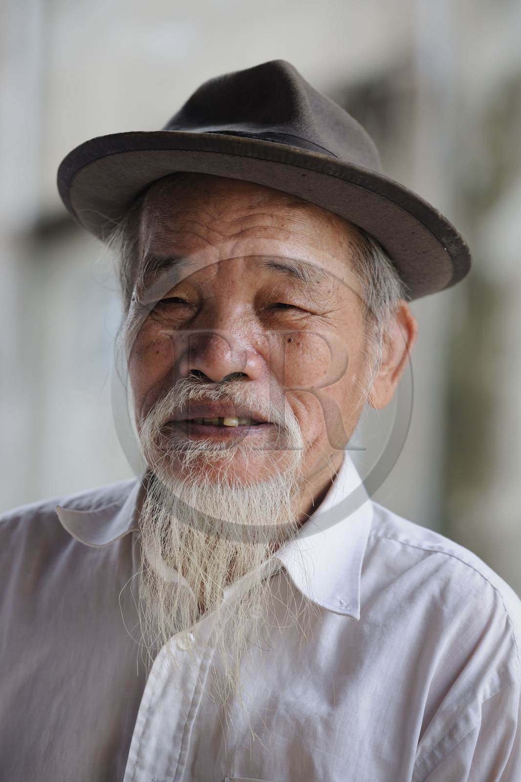 Vietnam, Hanoï, portrait d'un vieil homme avec une barbe semblable à celle d'Ho Chi Minh