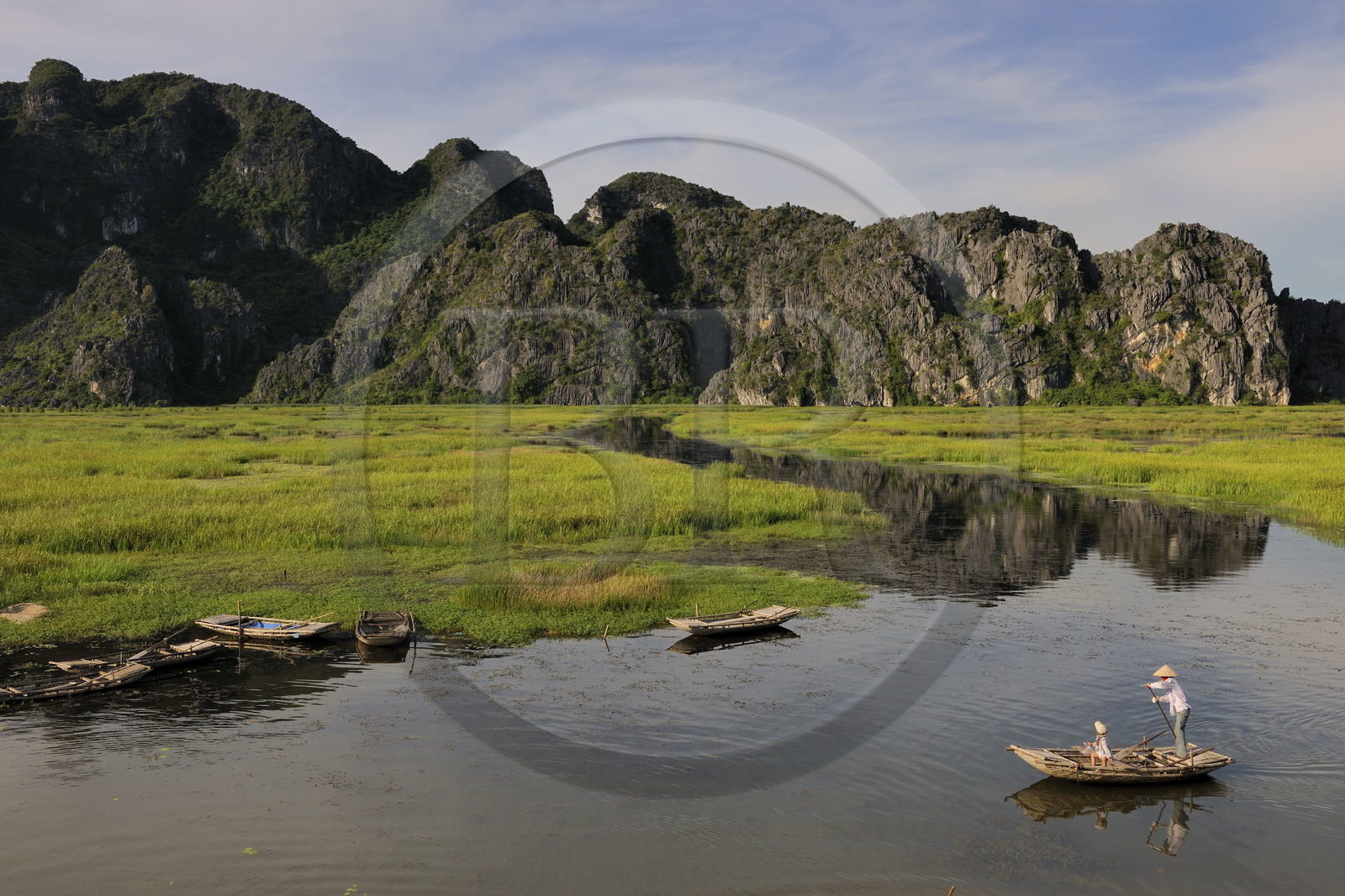 Vietnam, province de Ninh Binh, région surnommée la baie d'Halong terrestre, réserve naturelle de Van Long et ses paysages karstiques