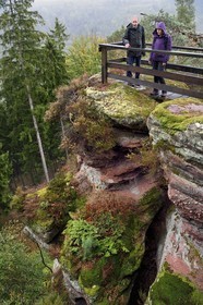 France, Bas-Rhin, Parc regional des Vosges du nord (Northern Vosges Regional Natural Park), La Petite Pierre, hikers on the Trois Roches trail at the Rocher du Saut du Chien (Rock of the Dog Jump)