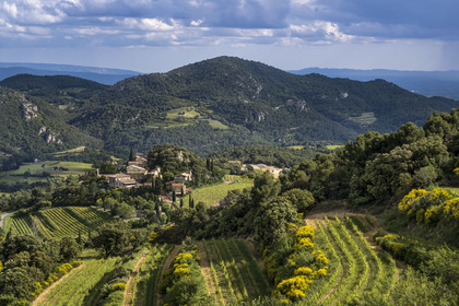 France, Vaucluse, Dentelles de Montmirail mountains, the village of Suzette surrounded by terraced vineyards