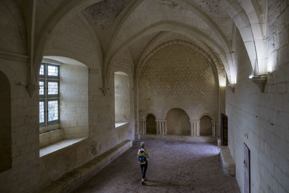 France, Charente Maritime, the former priory of Saint-Jean-l'Evangéliste de Trizay, called the abbey of Trizay, houses a contemporary art center, the 15th-16th century refectory and its ceiling paintings