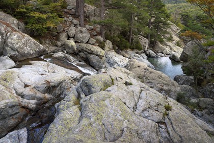 France, Haute Corse, Vivario, hiking on the GR 20, between Onda refuge and Vizzavona, Vizzavona forest, Englishmen cascades, waterfalls group in the Agnone valley under the Monte d'Oro
