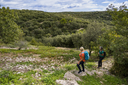 France, Gard (30), Saint-Maximin, chemin dans la garrigue à la sortie du village sur le tracé de l'aqueduc romain de Nimes