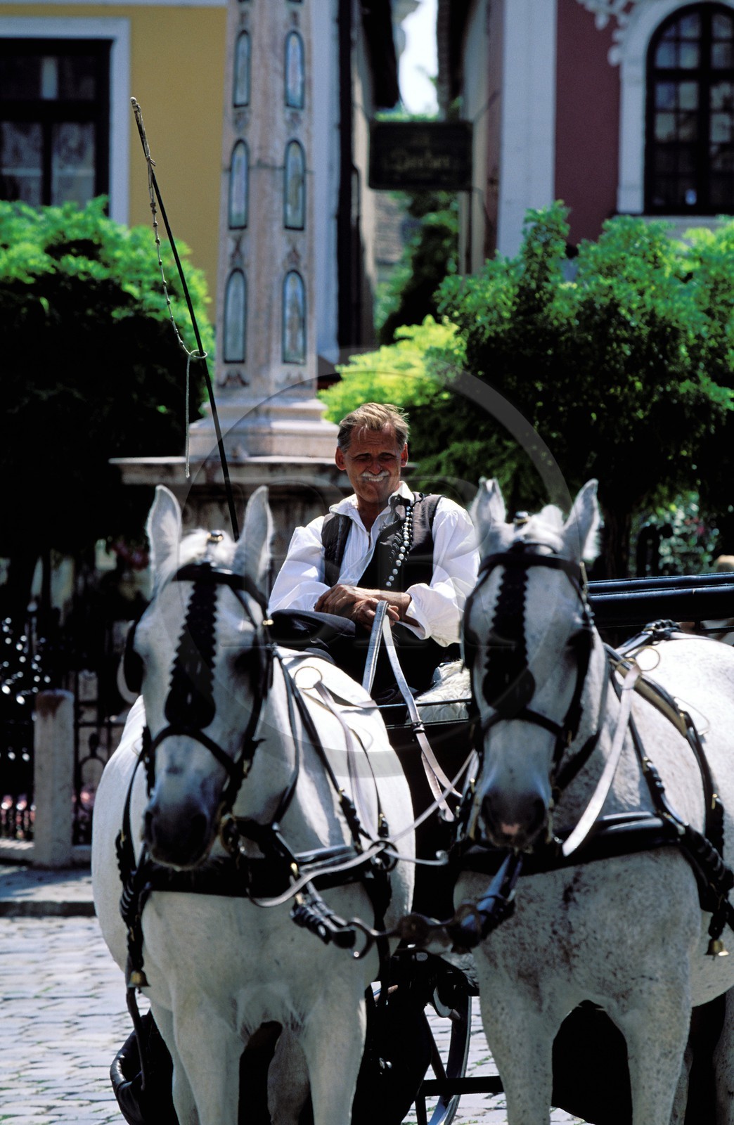Hongrie, Comté de Pest, ville de Szentendre, Boucle du Danube, attelage sur la place principale