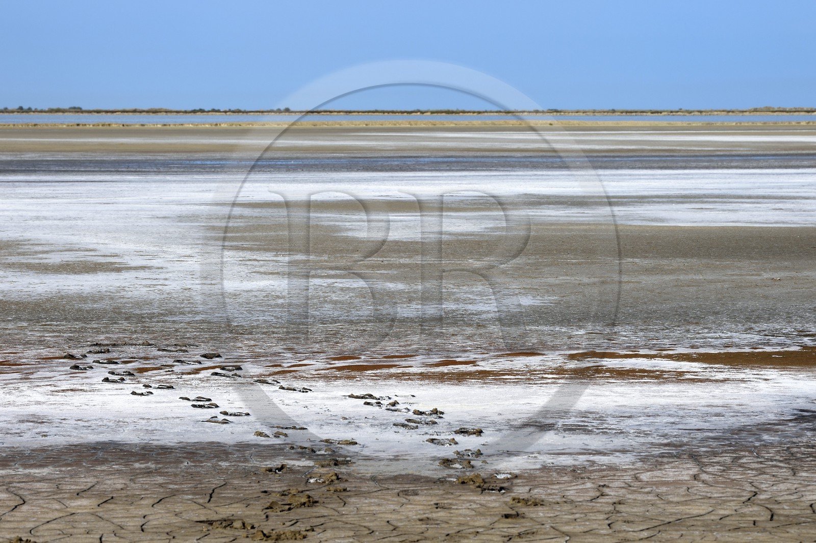France, Bouches-du-Rhône (13), Parc naturel régional de Camargue, dépot de sel dans le bassin du Fangassier France, Bouches-du-Rhône (13), Parc naturel régional de Camargue, dépot de sel dans le bassin du Fangassier