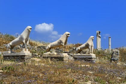 Greece, Cyclades islands, Delos, listed as World Heritage by UNESCO, the archaeological site of Delos, Apollo's Sanctuary, the most ancient city of the Aegean Sea, the Terrace of the Lions
