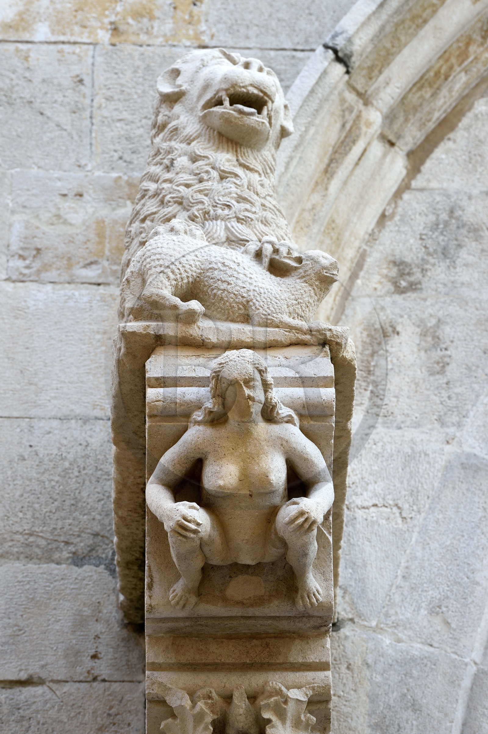 Croatie, Dalmatie, cote dalmate, Ile de Korcula, ville de Korcula, détail du portail central de la cathédrale Saint-Marc, sculpture d'Eve sous un des deux lions de la facade principale