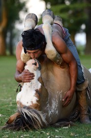 Argentine, province de Buenos Aires, San Antonio de Areco, estancia La Bamba de Areco, demonstration du savoir-faire d'un cavalier amerindien avec son cheval, le baiser au cheval