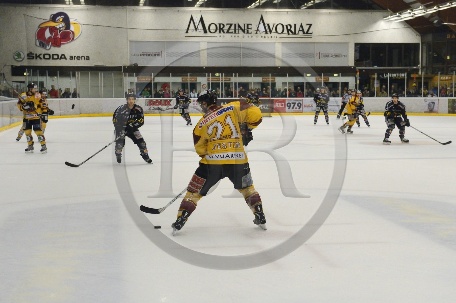 France, Haute Savoie, Morzine, ice hockey game from the Morzine-Avoriaz Hockey Club called the Penguins