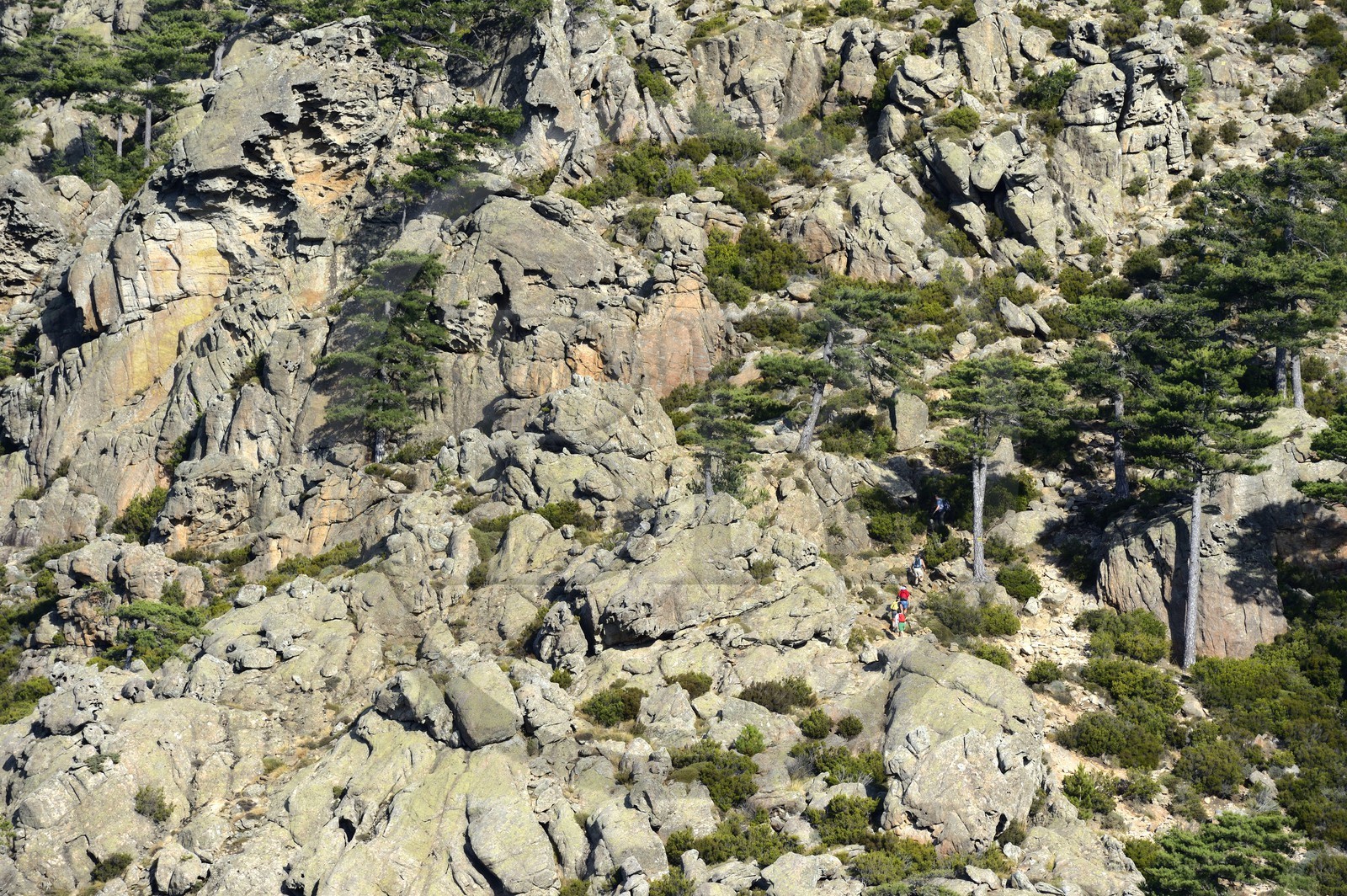France, Corse-du-Sud (2A), Alta Rocca, Aiguilles de Bavella, randonneurs sur la variante alpine de l'étape du GR 20