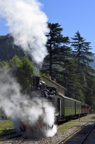 France, Alpes-Maritimes, Puget Theniers, the Train des Pignes historic train enters the station