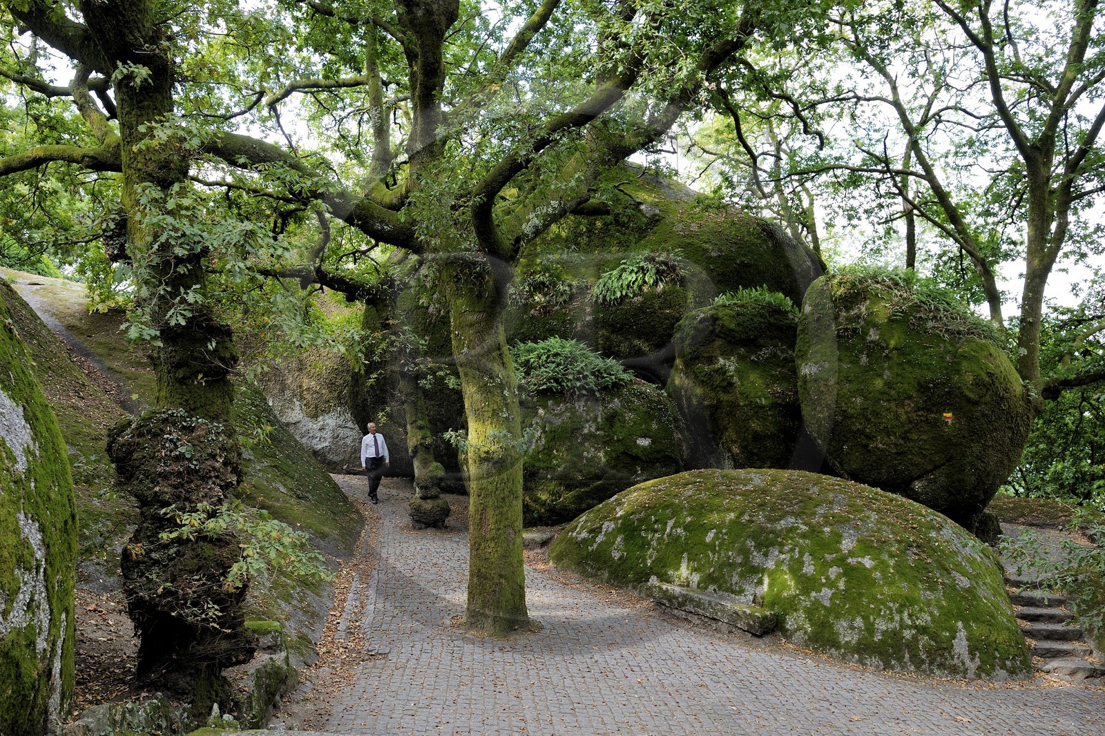 Portugal, région du Minho, Guimaraes, Monte da Penha (mont Penha)