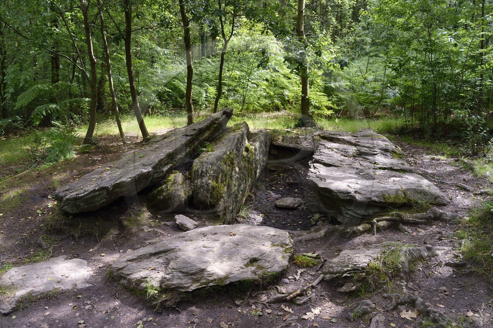 France, Morbihan (56), forêt de Brocéliande, monument mégalithique de l'âge du Bronze appelé le Tombeau des Géants