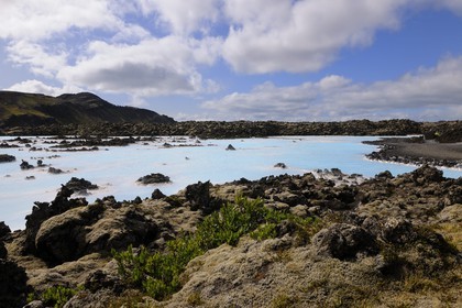Iceland, Sudurnes Region, Grindavik, the Blue Lagoon