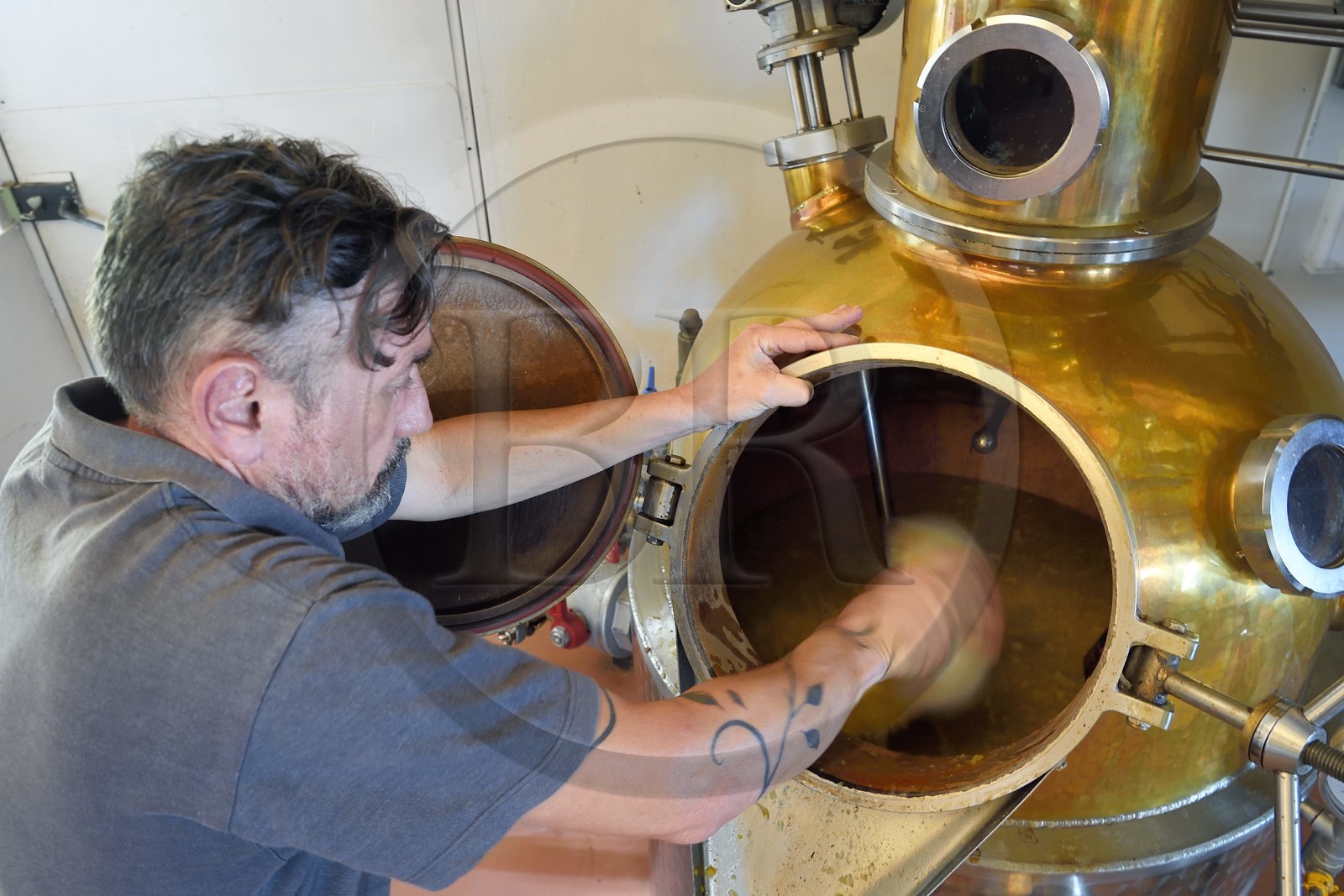 France, Ile de la Reunion, La Saline, La Part des Anges Distillation, remplissage de l'alambic électrique avec l'ananas fermenté pour la triple distillation de l'eau de vie