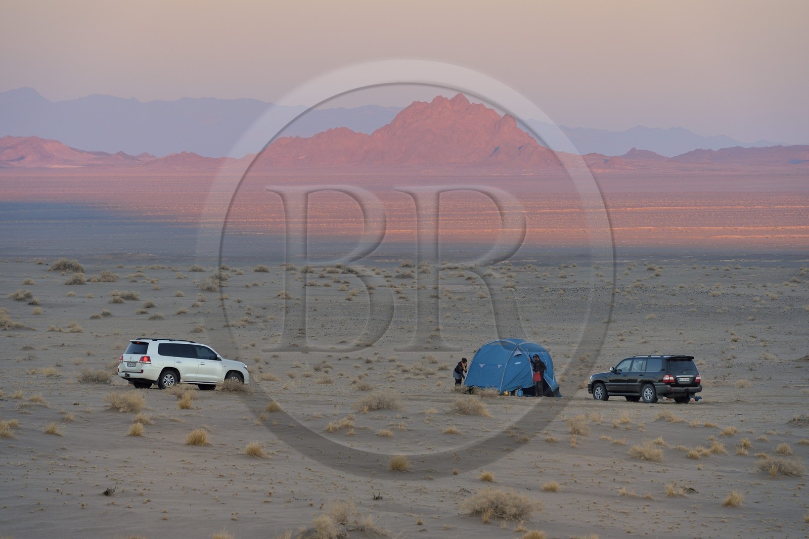 Iran, Province de Yazd, désert du Dasht-e Kavir, Moghestan, installation du campement au coucher de soleil
