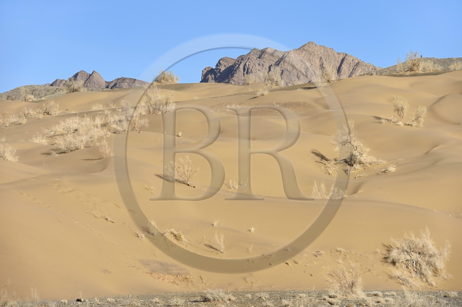 Iran, Province d'Ispahan, désert du Dasht-e Kavir, Mesr dans la région de Khur et Biabanak, dunes de sable au pied de la chaine de montagne de Dareh bidan Iran, Province d'Ispahan, désert du Dasht-e Kavir, Mesr dans la région de Khur et Biabanak, dunes de sable au pied de la chaine de montagne de Dareh bidan