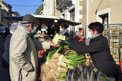 France, Dordogne (24), Périgord Vert, Thiviers, marché du samedi matin sur la place Foch, étal de légumes