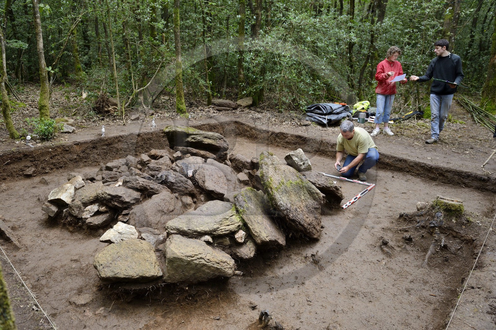 France, Morbihan (56), Trédion, forêt de Coëby ver, fouilles du site mégalithique découvert par l'archéologue Philippe Gouezin
