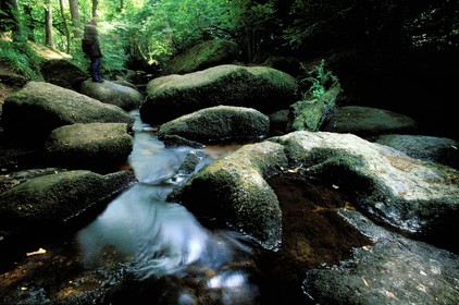France, Finistère (29), Huelgoat, chaos de rochers, la rivière d'Argent dans la forêt