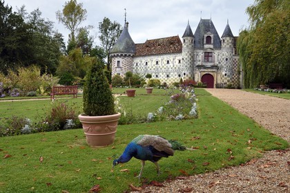 France, Calvados (14), Pays d'Auge, le chateau de Saint-Germain-de-Livet du XVe et XVIe siècle labellisé Musée de France