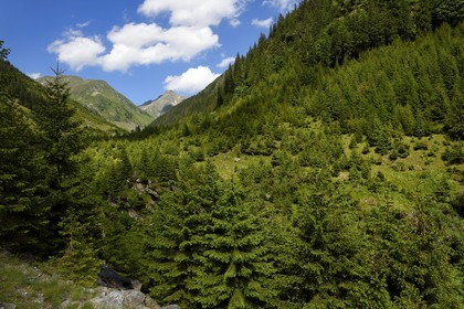 Romania, Wallachia, Muntenia, Arges County, the Fagaras Mountains along the Transfagarasan Road in the Southern Carpathians