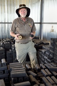 Namibie, Otjiwarongo, Cheetah Conservation Fund, centre de recherche et d'éducation, CCF BUSH Pty Ltd fabrique des briquettes de bois comme projet pilote pour explorer une stratégie visant à améliorer l'habitat du guépard par l'enlèvement des épais buissons qui prolifèrent dans le bush, Bruce Brewer Ph. D. directeur général et dirige également le projet CCF Bushblok
