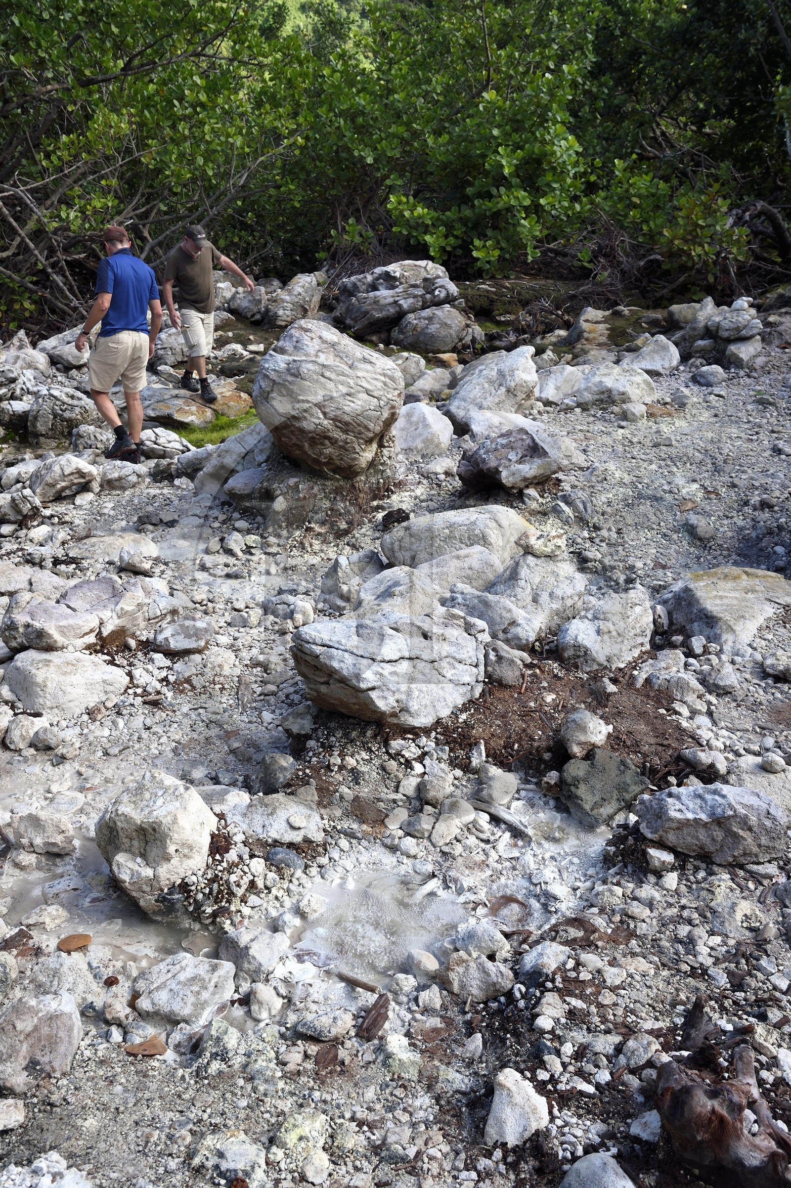 Caribbean, Dominica Island, Cold Soufriere site river near the village of Pennville in the north of the island on segment 13 of the Waitukubuli National Trail
