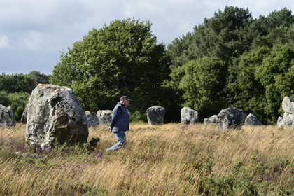 France, Morbihan, Carnac, row of megalithic standing stones at Manio