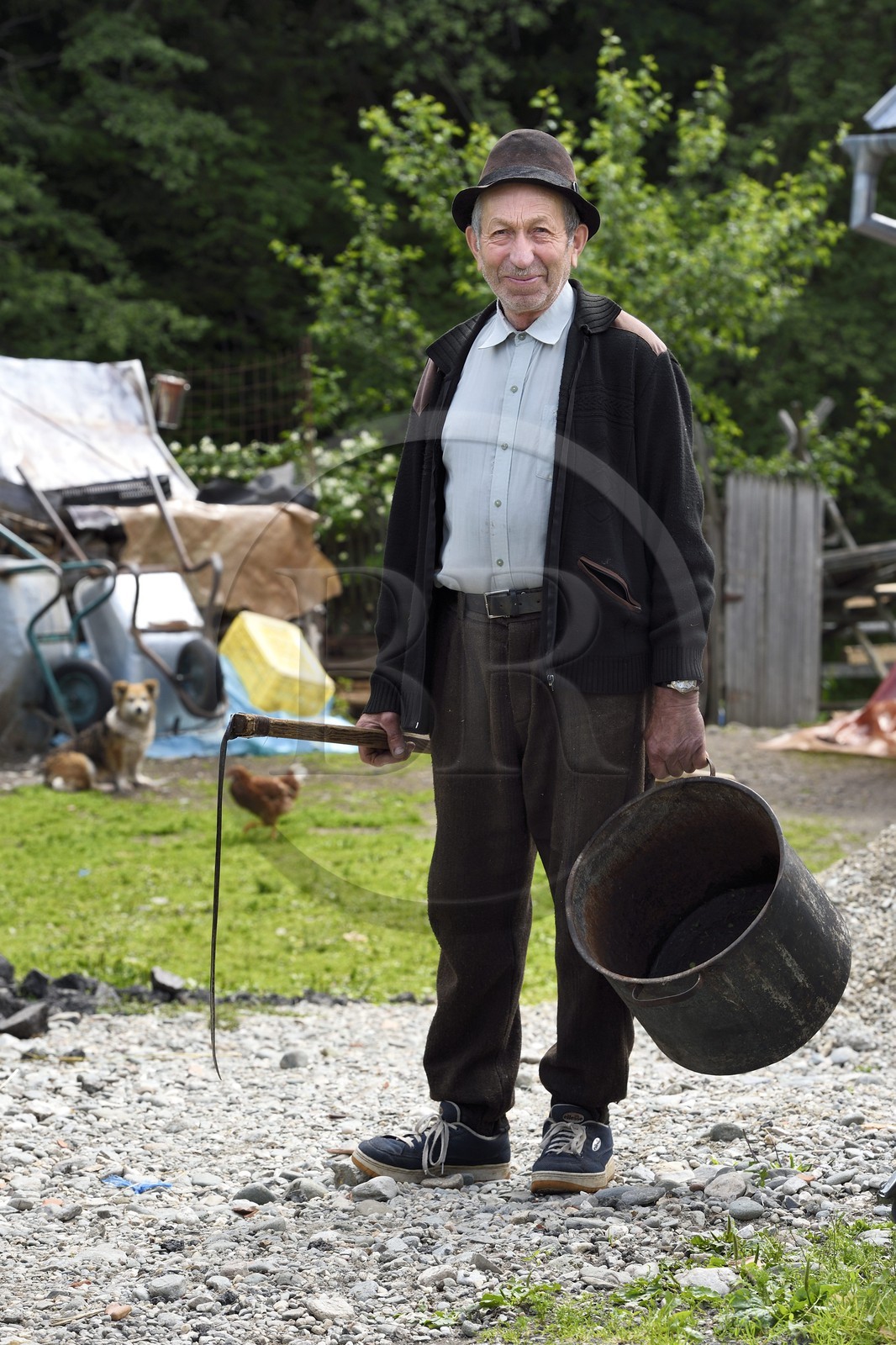 Roumanie, Transylvanie, région de Brasov, Moieciu de Sus dans les monts Fagaras dans les Carpates du Sud, un paysan avec sa faux