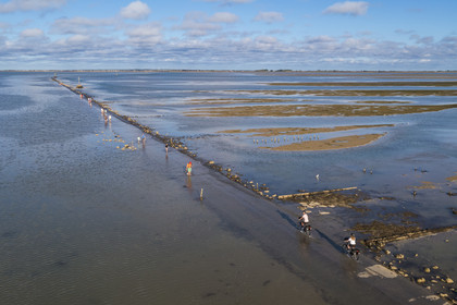 France, Vendée (85), île de Noirmoutier, Barbatre, cyclistes sur le passage du Gois à marée montante, chaussée submersible qui relie l'île au continent à marrée basse (vue aérienne)