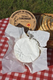 France, Orne, Pays d'Auge, village of Camembert, the Héronnière Farm, AOC unpasteurized milk farm-made Camembert