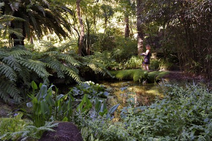 France, Finistère (29), Ile-de-Batz, jardin Georges Delaselle ou jardin colonial, jardin exotique présentant une collection botanique provenant des cinq continents
