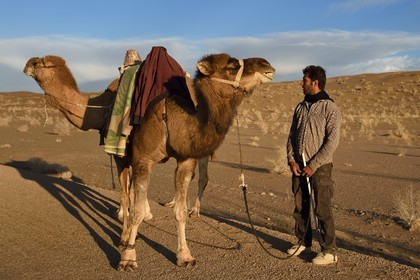 Iran, Isfahan province, Dasht-e Kavir desert, Mesr in Khur and Biabanak County, camel driver and camels in the desert at sunset