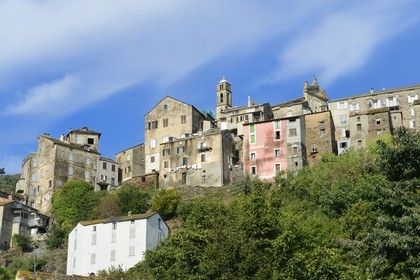 France, Haute Corse, Casinca region in Castagniccia, perched village of Vescovato