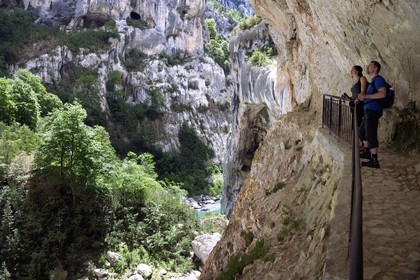 France, Alpes-de-Haute-Provence (04), Parc Naturel Régional du Verdon, Rougon, Grand Canyon du Verdon, la rivière du Verdon dans le couloir Samson, vu depuis le sentier Blanc-Martel sur le GR4