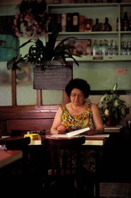 France, Paris (75), le Bar fleuri rue du plateau à Ménilmontant