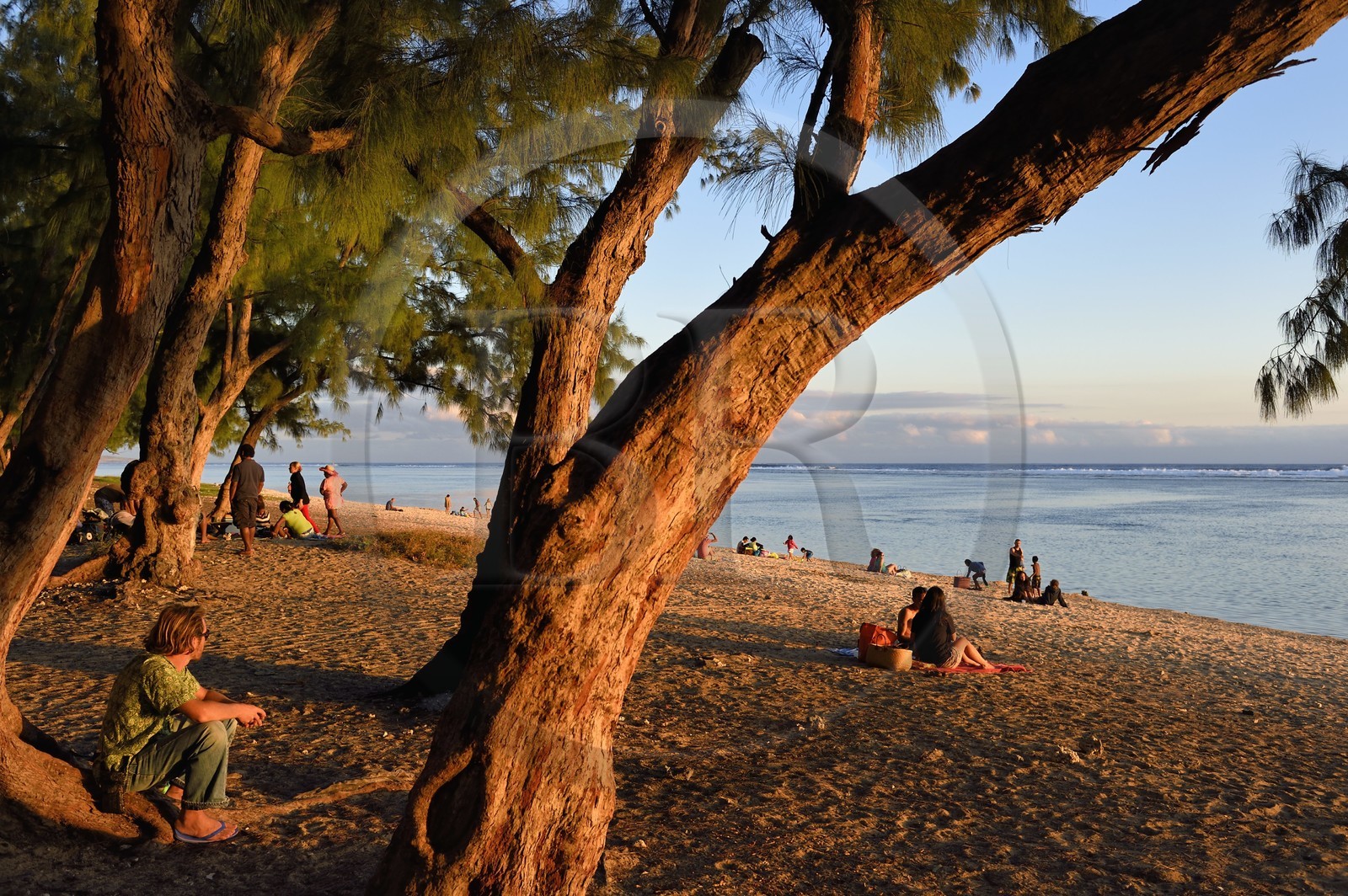 France, île de la Réunion, la Cote Ouest, plage du lagon de Saint-Gilles-Les-Bains à l'Ermitage-les-Bains, à l'ombre des filaos
