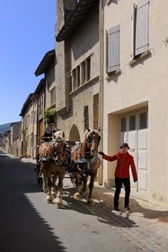 France, Saône et Loire (71), Cluny, attelage du Haras national rue d'Avril