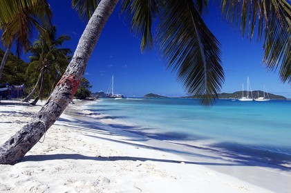 Caribbean sea, St Vincent and the Grenadines, Tobago Cays archipelago, beach of one of many uninhabited island