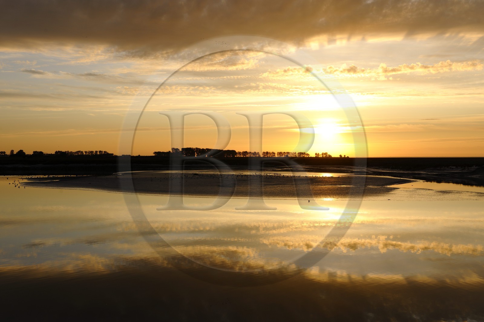 France, Manche, Bay of Mont Saint Michel, intertidal zone of Couesnon River at sunset