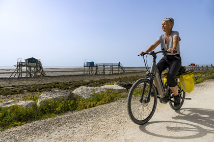 France, Charente-Maritime (17), Port-des-Barques, Ile Madame, cycliste en randonnée passant devant des cabanes sur pilotis appelées carrelets à marée basse