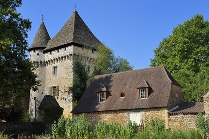 France, Dordogne (24), Périgord Noir, vallée de la Vézère, Saint-Léon-sur-Vézère, labellisé Les Plus Beaux Villages de France, le donjon du manoir de la Salle