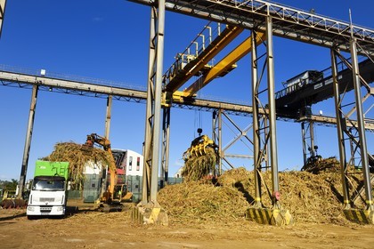 France, Ile de la Reunion, Saint-Pierre, Grands Bois, un des 11 centres de réception et de collecte de la canne à sucre aussi appelés Balance, les tracteurs amènent depuis les champs la canne dans des remorques, elle est ensuite pesée et chargée dans de grands camions appelés cachalots pour être acheminée vers l'usine sucrière du Gol